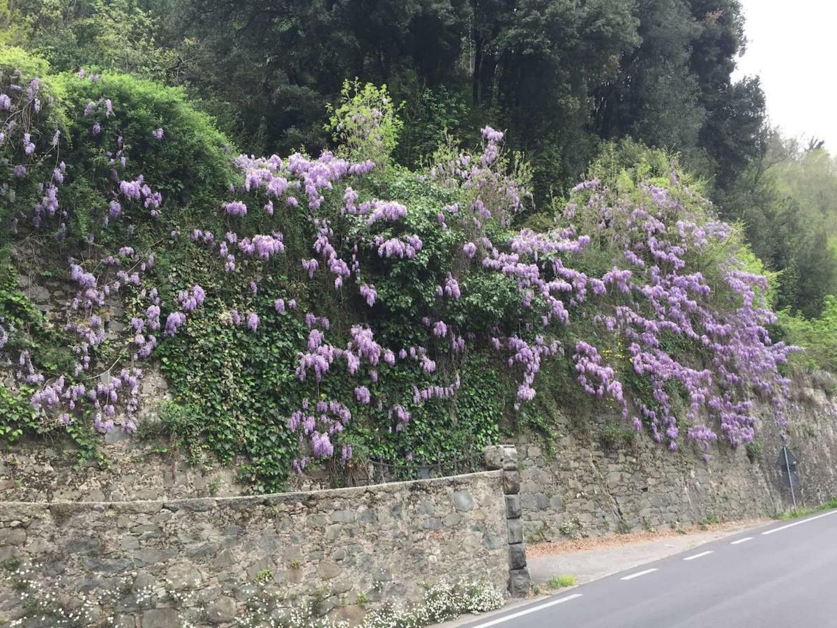 La Piccola Oasi Toscana Διαμέρισμα Bagni di Lucca Εξωτερικό φωτογραφία